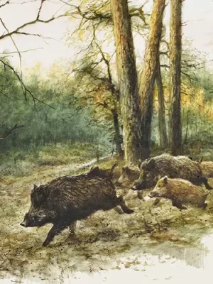 Fritzmann Servietten Wildschwein Bestpreis